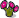 flowers pink